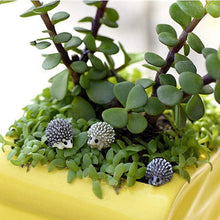 Load image into Gallery viewer, 5/10 pcs Miniature Tiny Hedgehog Figure Model DIY Scenery Dollhouse Landscape Fairy Garden Accessories Terrarium Diorama Craft Supplies
