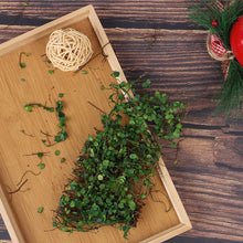 Load image into Gallery viewer, 1 Box Green Simulation Vine for Diorama Model Scenery, Miniature Landscape, Dollhouse, Sand Table, Wargame Terrain Craft Supplies
