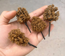Load image into Gallery viewer, Miniature Deep Brown Model Trees 3–12cm for Diorama, Railway Layout, Architecture Scenery &amp; Craft Projects (100pcs)
