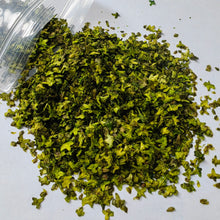 Load image into Gallery viewer, 33ml Miniature Model Leaves for Dioramas, Railway Scenery, Fairy Garden, Terrain, DIY Landscape Supplies

