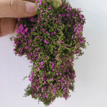 Load image into Gallery viewer, Miniature Flower Bush Scenery Material 6g Diorama Landscape Grass for Model Railway Garden Scene DIY projects
