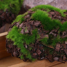 Load image into Gallery viewer, 6 pcs Miniature Moss Stone Rock Models Train Railway Accessories DIY Scene Fairy Garden Landscape Dollhouse Terrarium Diorama Craft Supplies
