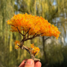 Load image into Gallery viewer, Miniature Autumn Bent Pine Tree Model 10/15cm Diorama Supply Dollhouse Garden Scenery

