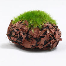 Load image into Gallery viewer, 6 pcs Miniature Moss Stone Rock Models Train Railway Accessories DIY Scene Fairy Garden Landscape Dollhouse Terrarium Diorama Craft Supplies
