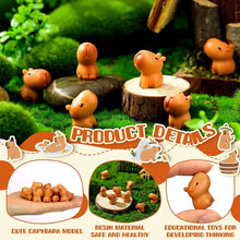 Load image into Gallery viewer, 50pcs Mini Capybara Resin Figurines for Fairy Garden, Diorama, Aquarium, Dollhouse, Cake Decor, Animal Crafts, DIY Miniature Landscape
