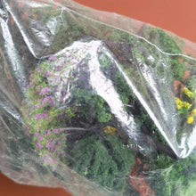 Load image into Gallery viewer, 35/60 pcs Mixed Miniature Green Tree Models N HO Scale Railway Layout Accessories DIY Landscape Dollhouse Terrarium Diorama Craft Supplies
