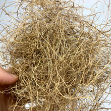 Load image into Gallery viewer, 15g/20g Simulation Plant Grass Roots Material for Diorama, Model Scenery, Miniature Landscape, Wargaming Terrain, Vine Hay Craft Supplies
