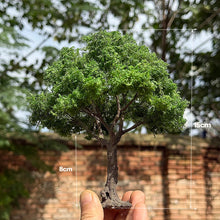 Load image into Gallery viewer, Miniature Model Tree Wire Trunk 10/15cm for Diorama Scenery Supply Railway Layout
