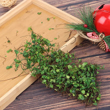 Load image into Gallery viewer, 1 Box Green Simulation Vine for Diorama Model Scenery, Miniature Landscape, Dollhouse, Sand Table, Wargame Terrain Craft Supplies
