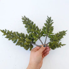 Load image into Gallery viewer, Miniature Pine Tree Model Wire Trunk 10-28cm for Diorama, Railway Scenery, Landscape Layout
