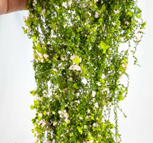 Load image into Gallery viewer, Miniature Flower Vine for Diorama, Model Railway Scenery, Dollhouse Garden and Landscape
