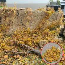 Load image into Gallery viewer, 200ml Creeper Vine Model Foliage for Miniatures, Wargame Terrain, Diorama Landscaping Grass, DIY Micro Scenery Plants, Craft Supplies
