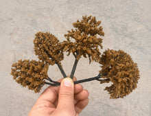 Load image into Gallery viewer, Miniature Deep Brown Model Trees 3–12cm for Diorama, Railway Layout, Architecture Scenery &amp; Craft Projects (100pcs)
