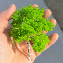 Load image into Gallery viewer, 3pcs 10/14cm Light Green Wire Trunk Model Trees for Dioramas, Train Layouts, Fairy Garden, Micro Landscape Crafting, Scene Building Supplies
