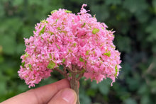 Load image into Gallery viewer, Miniature Cherry Blossom Tree Model Pink 10cm for Diorama Model Train Landscape Craft Supply
