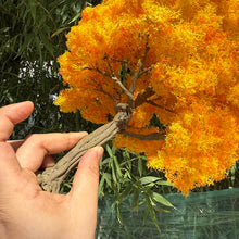 Load image into Gallery viewer, 28cm/ 40cm Yellow Orange Miniature Wire Tree Model G Scale for Dioramas, DIY Landscape, Dollhouse, Railway scenery, and Train Layouts
