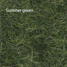 Load image into Gallery viewer, 8mm Static Grass Flock 30g for Miniature Diorama Scenery Railway Landscape Model Turf Fibers
