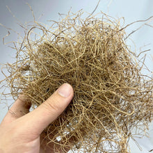 Load image into Gallery viewer, 15g/20g Simulation Plant Grass Roots Material for Diorama, Model Scenery, Miniature Landscape, Wargaming Terrain, Vine Hay Craft Supplies

