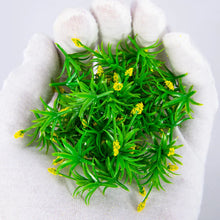 Load image into Gallery viewer, 20pcs Miniature Flower Grass Tufts Mixed Colors Diorama Plants for Railway Layout, Model Garden
