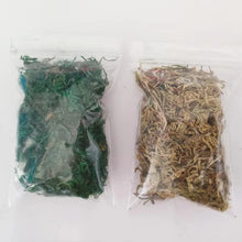 Load image into Gallery viewer, Miniature Model Foliage: 10g Artificial Moss &amp; Shrub Material (Dry or Green)

