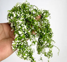 Load image into Gallery viewer, Miniature Flower Vine for Diorama, Model Railway Scenery, Dollhouse Garden and Landscape
