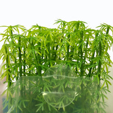 Load image into Gallery viewer, 50pcs Miniature Bamboo Trees Model 9–13cm, Model Train Scenery, Diorama Landscape Supplies
