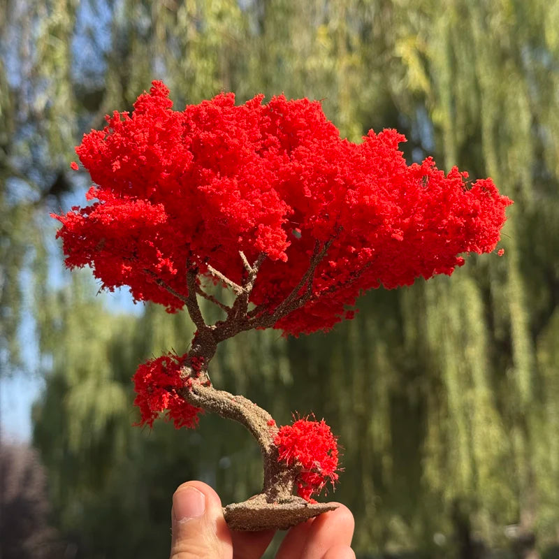 Miniature Red Maple Bonsai Tree, Wire Model, 10/15cm, Diorama Supply –  e-Toyer