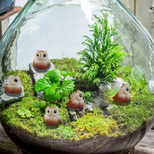 Load image into Gallery viewer, 5/10 pcs Miniature Tiny Owl Bird Figure Model DIY Scenery Dollhouse Landscape Fairy Garden Accessories Terrarium Diorama Craft Supplies
