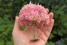 Load image into Gallery viewer, Miniature Cherry Blossom Tree Model Pink 10cm for Diorama Model Train Landscape Craft Supply
