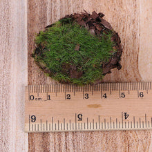 Load image into Gallery viewer, 6 pcs Miniature Moss Stone Rock Models Train Railway Accessories DIY Scene Fairy Garden Landscape Dollhouse Terrarium Diorama Craft Supplies

