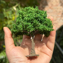 Load image into Gallery viewer, Miniature Model Tree Wire Trunk 10/15cm for Diorama Scenery Supply Railway Layout
