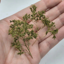 Load image into Gallery viewer, Miniature Tree Branches, Model Railway Diorama Scenery (1 Box)
