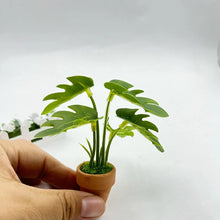 Load image into Gallery viewer, 1/12 Scale Dollhouse Mini Taro Turtle Back Plant, Green Potted Plant Miniature, Scandinavian Style Decor, Mini Garden Scene Accessory
