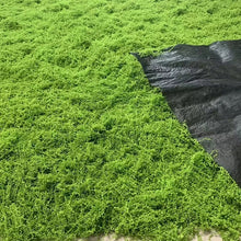 Load image into Gallery viewer, Artificial Moss Mat for Dioramas, Miniature Landscape Grass Sheet, Model Railway Scenery, Fairy Garden
