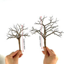 Load image into Gallery viewer, Miniature Wire Tree Trunk Armature 15/18cm for Diorama, Model Scenery, DIY Landscape Supply

