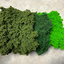 Load image into Gallery viewer, 20g Model Vegetation Sponge for Diorama Scenery, Railway Layout Bush Foliage, Miniature Landscape
