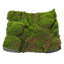 Load image into Gallery viewer, Artificial Moss Mat 30cm, Faux Turf Panel, Landscape Decor, Diorama, Terrarium, Fairy Garden Supply
