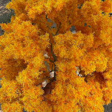 Load image into Gallery viewer, 28cm/ 40cm Yellow Orange Miniature Wire Tree Model G Scale for Dioramas, DIY Landscape, Dollhouse, Railway scenery, and Train Layouts
