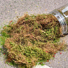 Load image into Gallery viewer, 200ml Creeper Vine Model Foliage for Miniatures, Wargame Terrain, Diorama Landscaping Grass, DIY Micro Scenery Plants, Craft Supplies
