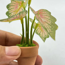 Load image into Gallery viewer, 1/12 Scale Dollhouse Mini Taro Turtle Back Plant, Green Potted Plant Miniature, Scandinavian Style Decor, Mini Garden Scene Accessory
