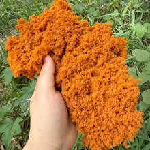 Load image into Gallery viewer, 20g Model Vegetation Sponge for Diorama Scenery, Railway Layout Bush Foliage, Miniature Landscape
