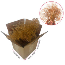 Load image into Gallery viewer, Natural Sea Foam Trees for Diorama Miniature Model Scenery Terrain Railway Landscape Craft Supplies
