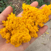 Load image into Gallery viewer, 20g Model Vegetation Sponge for Diorama Scenery, Railway Layout Bush Foliage, Miniature Landscape
