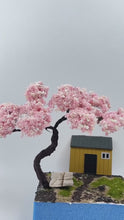 Load and play video in Gallery viewer, 10/12/15/17/20cm Miniature Sakura Cherry Blossom Wire Tree Model Dollhouse Fairy Garden Scenery Landscape Terrarium Diorama Craft Supplies
