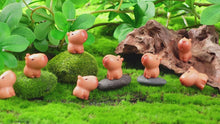 Load and play video in Gallery viewer, 50pcs Mini Capybara Resin Figurines for Fairy Garden, Diorama, Aquarium, Dollhouse, Cake Decor, Animal Crafts, DIY Miniature Landscape
