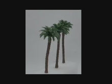 Load and play video in Gallery viewer, 10/30/50 pcs 9cm Miniature Coconut Palm Tree Models Ho Scale 1:87 Train Railway Accessories DIY Landscape Terrarium Diorama Craft Supplies
