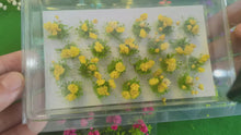 Load and play video in Gallery viewer, 20 pcs Miniature Red Flower Cluster Tufts Models DIY Train Railway Scenery Dollhouse Garden Landscape Terrarium Diorama Craft Supplies
