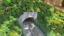 Load and play video in Gallery viewer, 20g Model Vegetation Sponge for Diorama Scenery, Railway Layout Bush Foliage, Miniature Landscape
