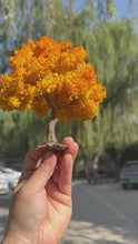 Load and play video in Gallery viewer, Miniature Autumn Wire Tree 10/15cm Model for Dollhouse, Architectural Scenery, DIY Landscape Projects
