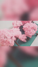 Load and play video in Gallery viewer, Miniature Cherry Blossom Wire Tree 9.5cm - 18.5cm Model Plant for DIY Sand Table, Diorama, Train Layout, Dollhouse Garden, or Craft Supply
